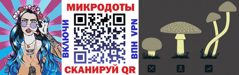 Галлюциногенные грибы мицелий  блэк спрут рабочий сайт  Краснозаводск 